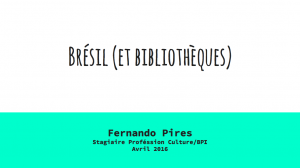 Capa Bresil et bibliotheques 2016