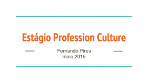 Capa Webinar Profession Culture 2016